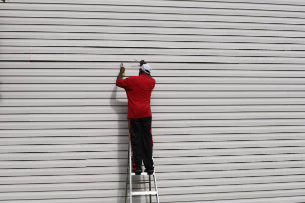 Best Brick Veneer Siding  in Martin, TN